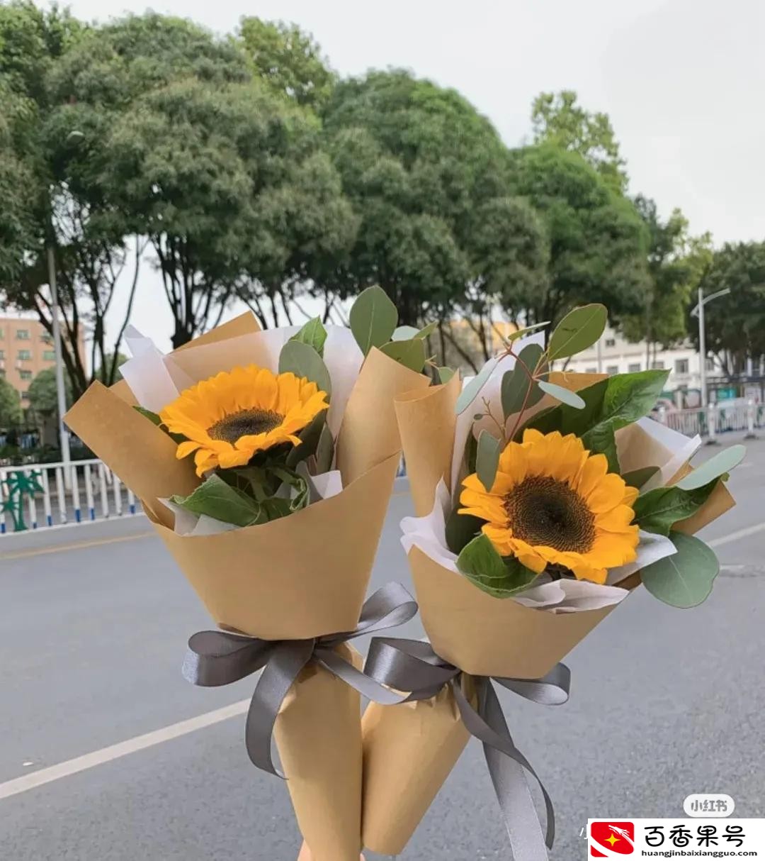 向日葵为什么不能送人