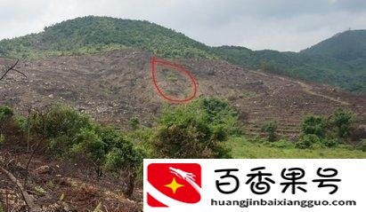 找墓地风水宝地怎么看
