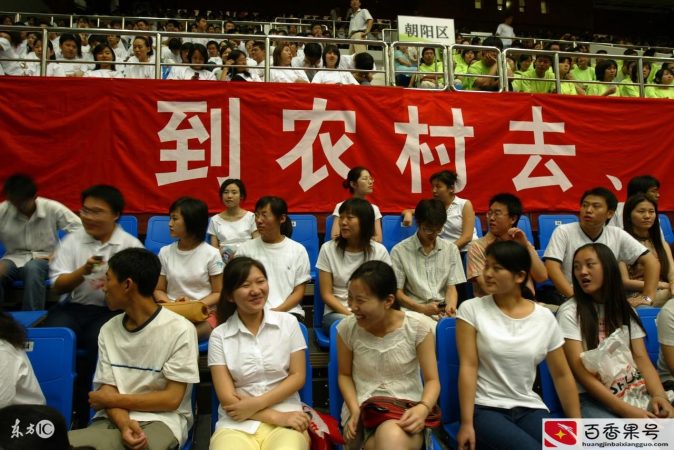 为什么不招大学生村官了