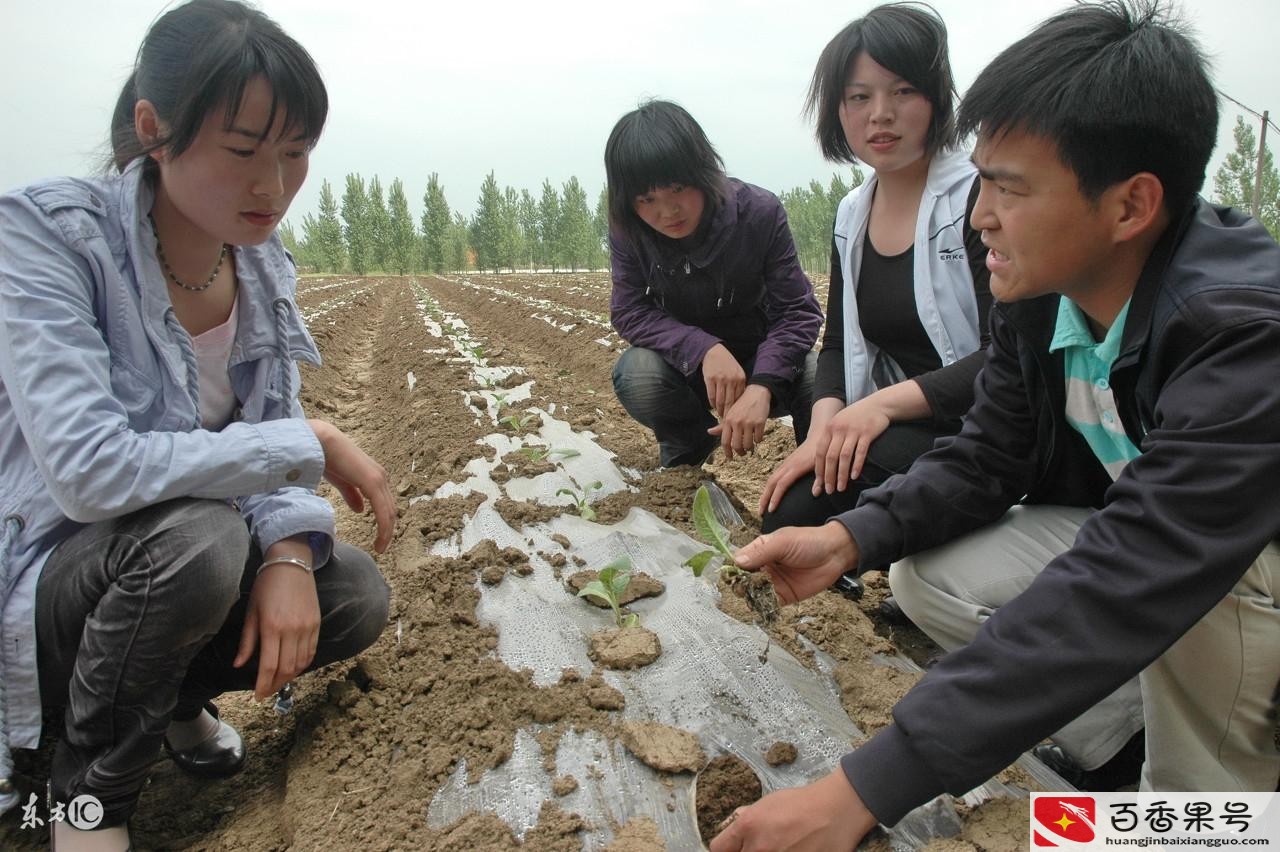 为什么不招大学生村官了