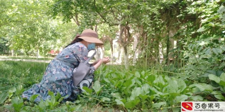 国企到手4500与私企到手8000