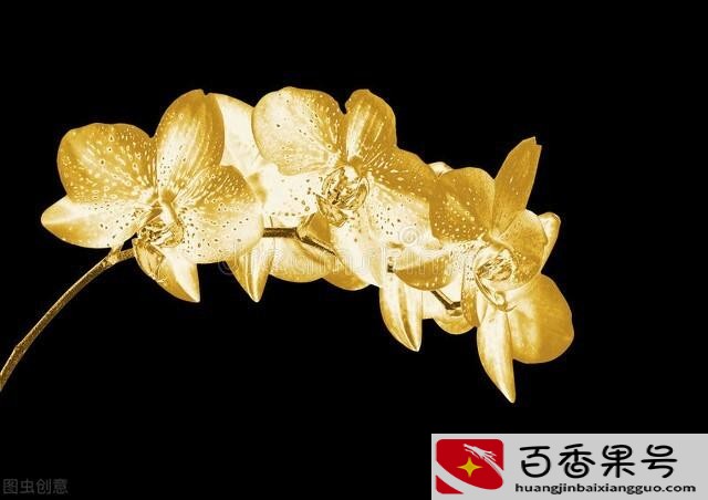金项链怎么清洗更亮