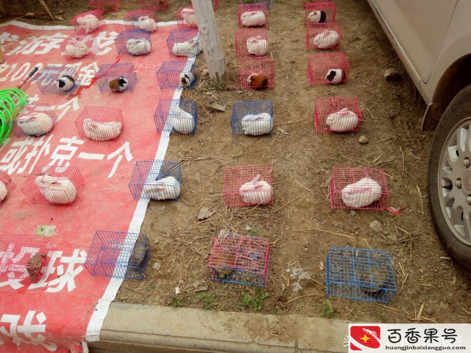 农村集市上的这些小生意，成本低赚钱快，小孩子很喜欢