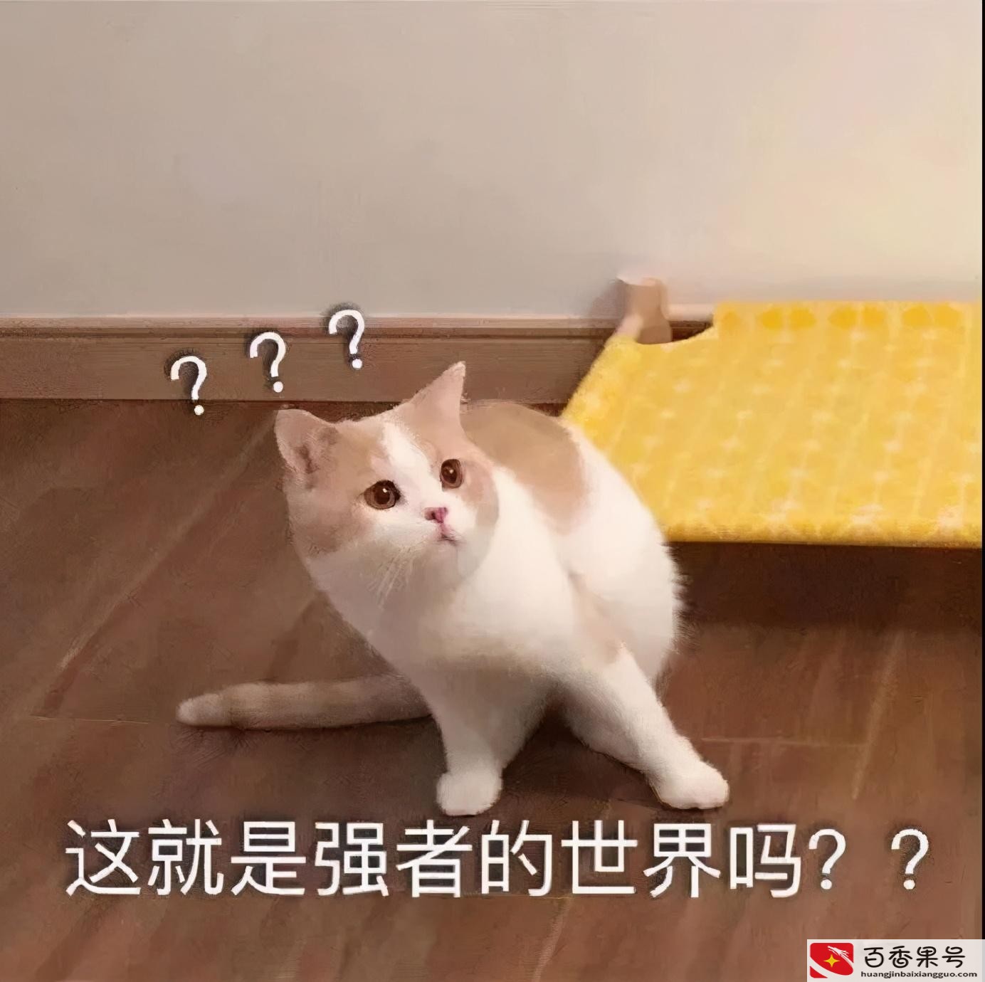 员工关怀方案暖心方案