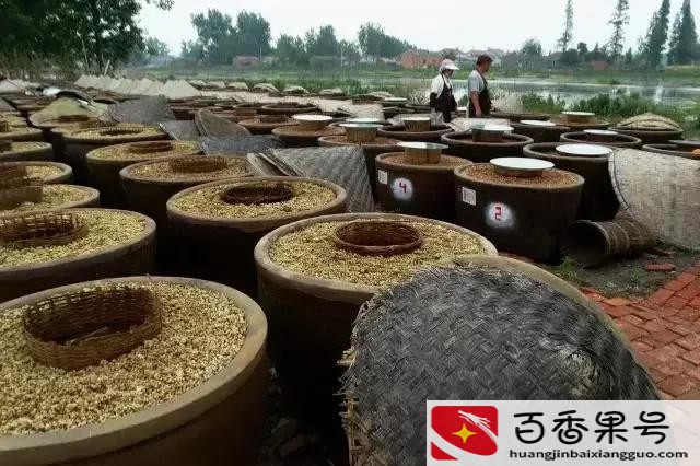 酱油排名前十有哪些品牌