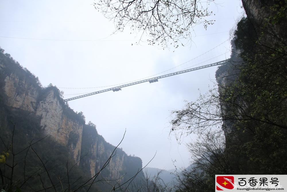 曾经世界第一的张家界玻璃桥又有新玩法，从260米高的桥面上蹦极
