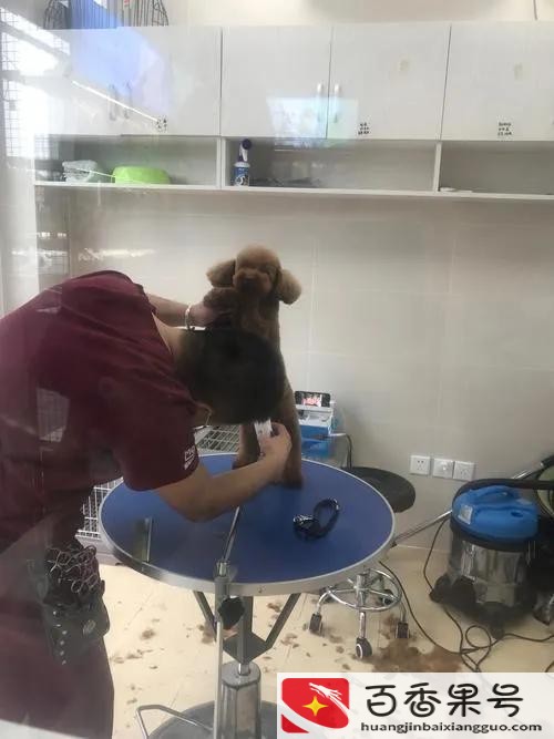 普通人什么工作挣钱快又多