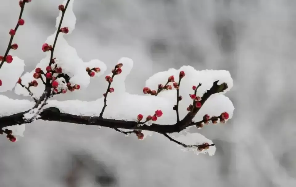 现在适合去什么地方旅游