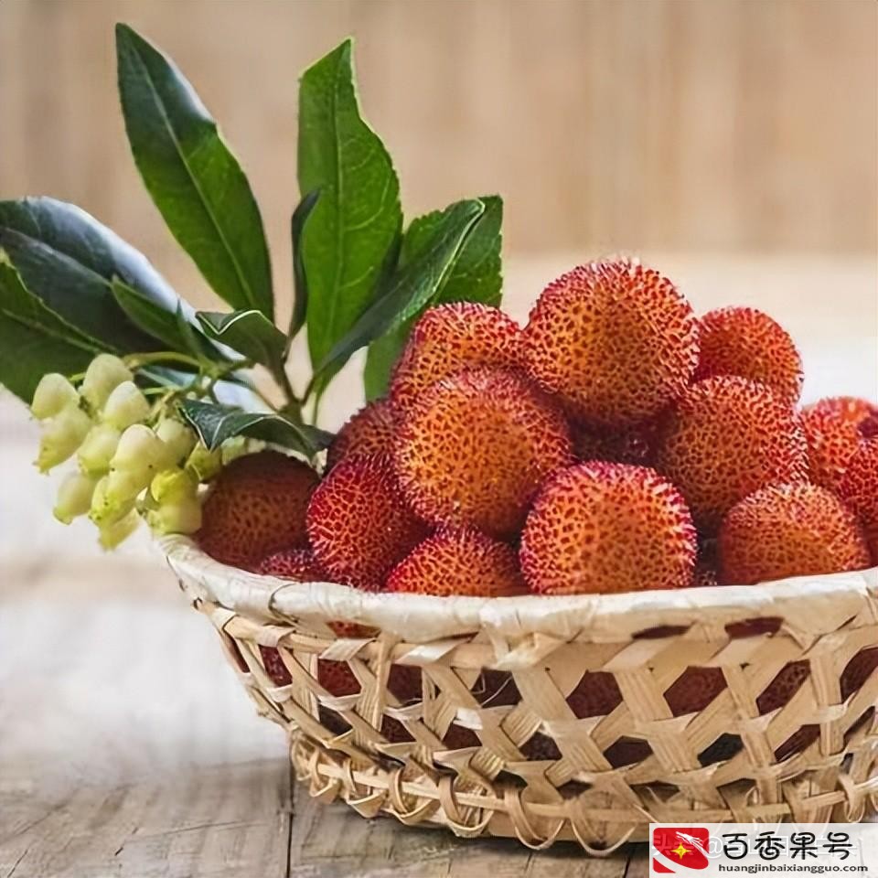 未来十年种什么树最赚钱