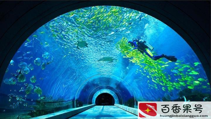 五月适合去三亚吗