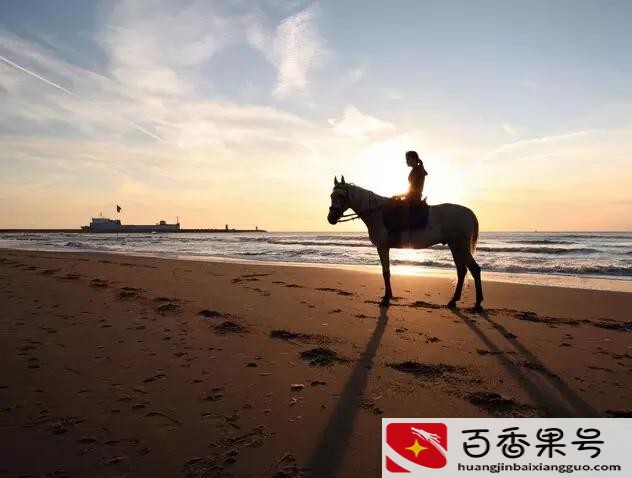 千万不要进住建局
