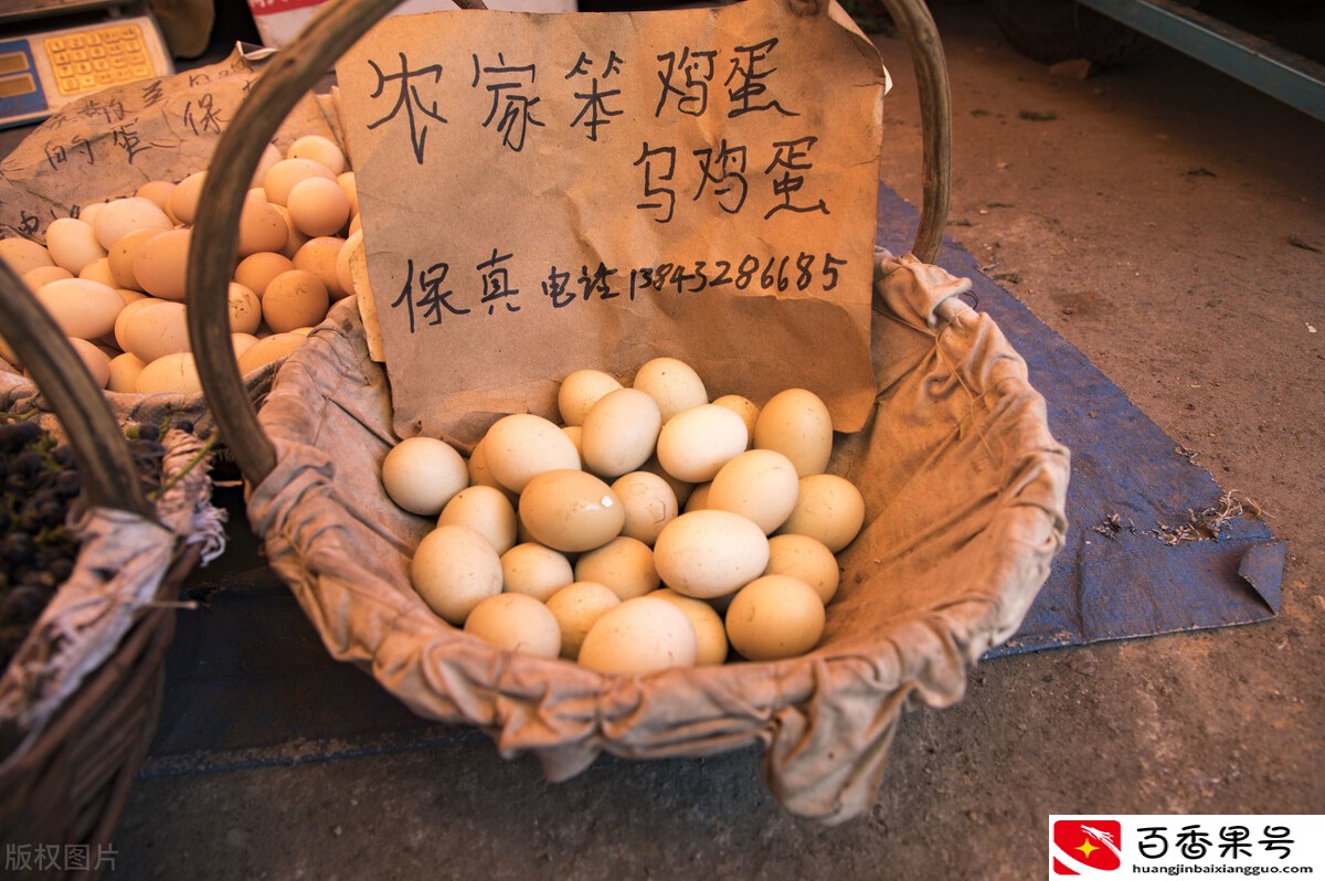 养鸡赚钱吗？现在农村养鸡赚钱吗？