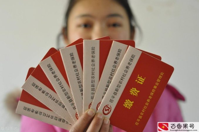 医保一年交多少钱