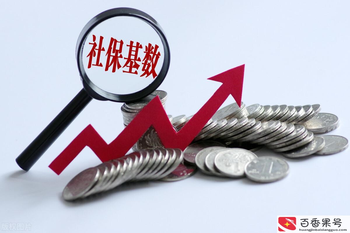 医保一年交多少钱