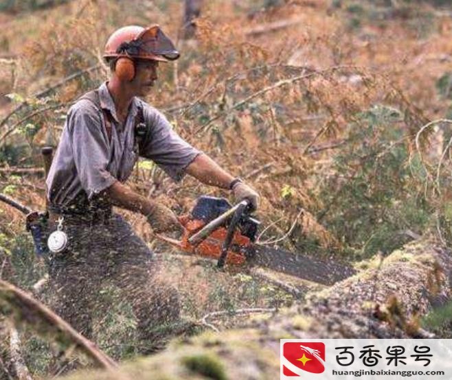 发明了一次性筷子