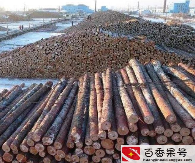 发明了一次性筷子