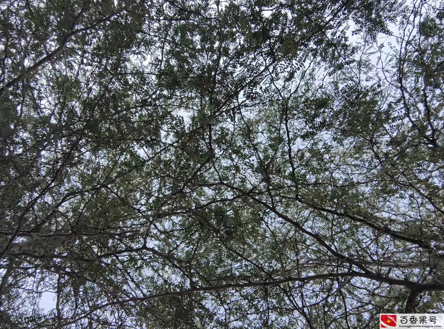 乌鲁木齐适合定居吗