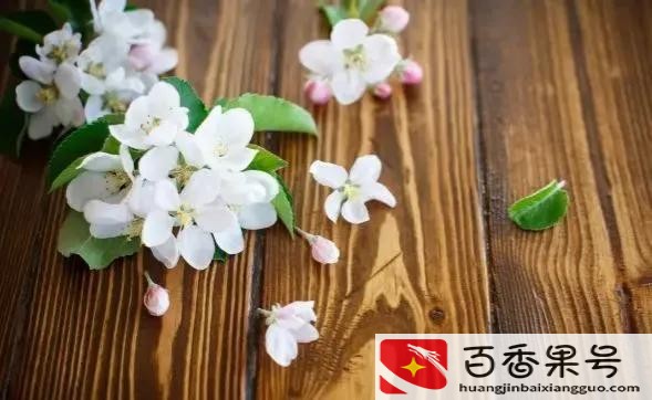 领导们看人都非常准