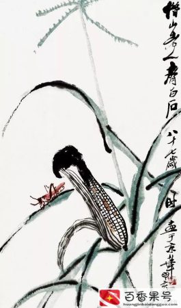 玉米原产地是哪个国家？玉米是什么时候传入中国的？