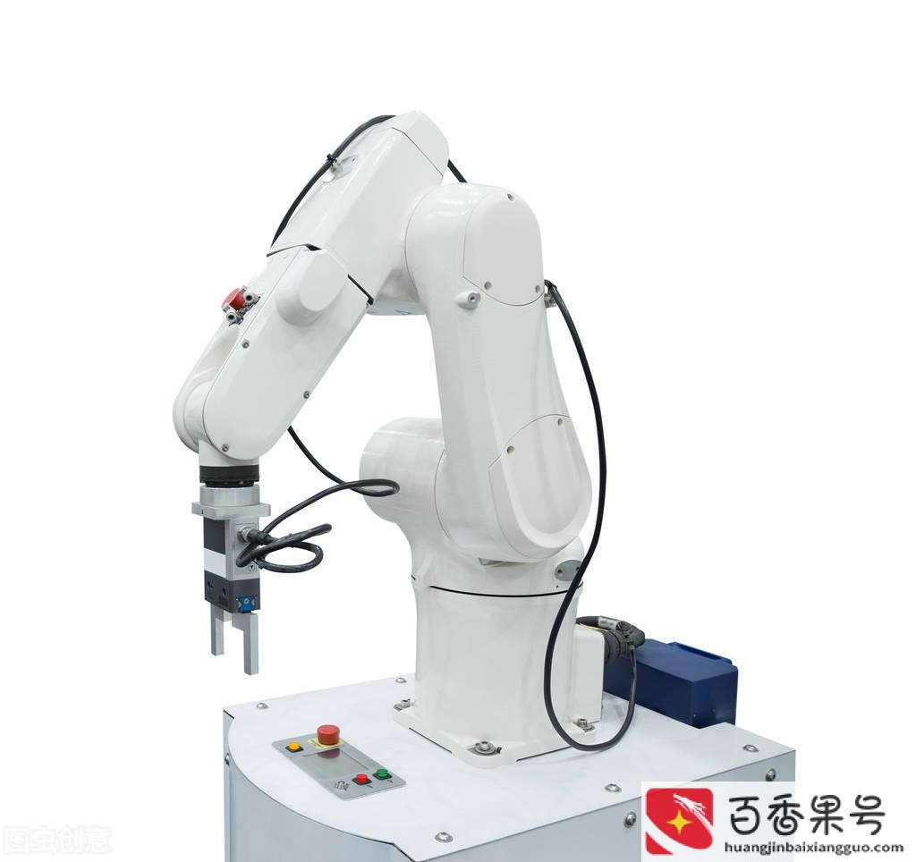 30岁零基础学什么合适