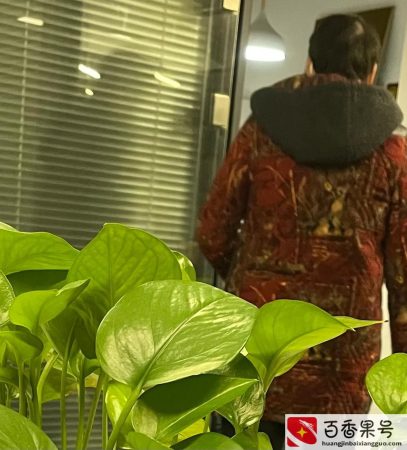 做家政一个月多少钱