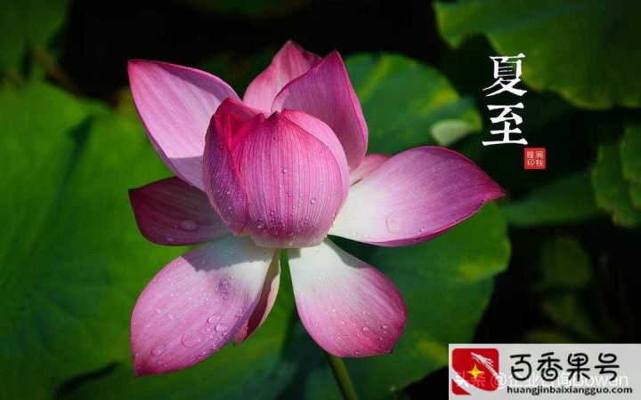搞笑冲业绩朋友圈句子