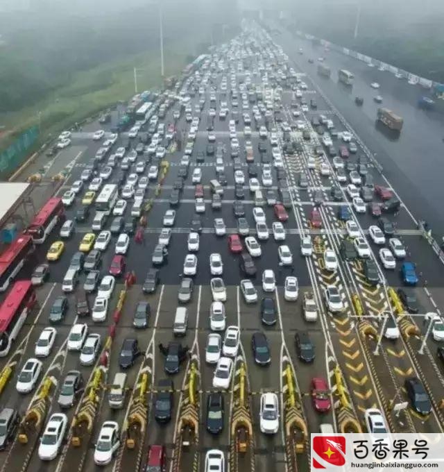 拍违章挣钱的app