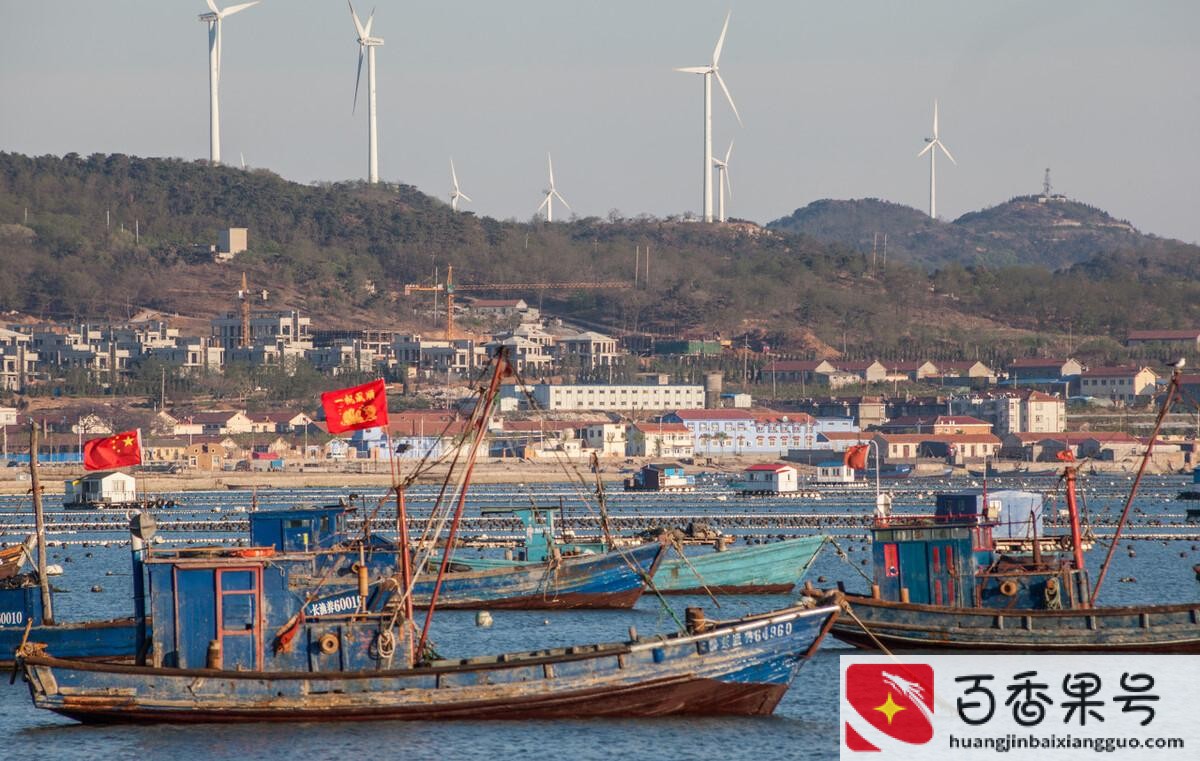 渤海湾在哪个城市