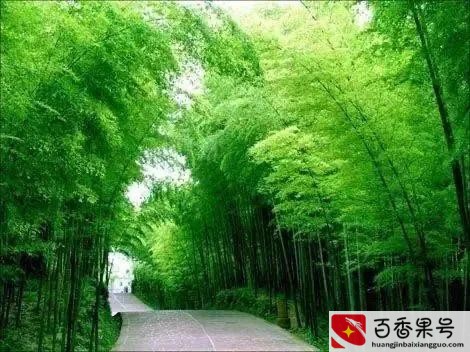 卖空气违法吗