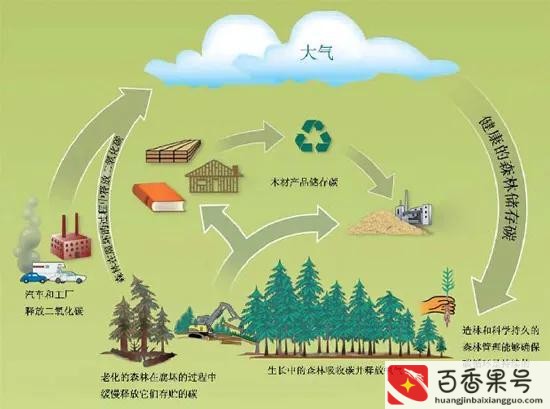 卖空气违法吗