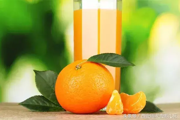 陕西特产有哪些土特产