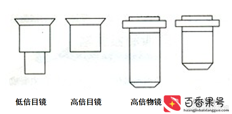 光学显微镜能看到什么
