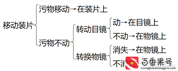 光学显微镜能看到什么