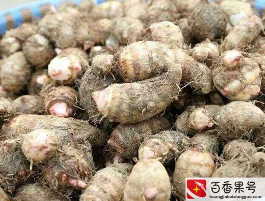 无锡特产有哪些送人好