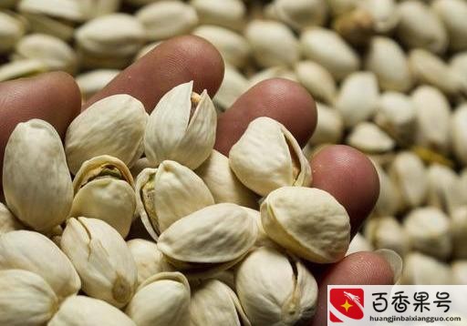 开心果为什么卖这么贵