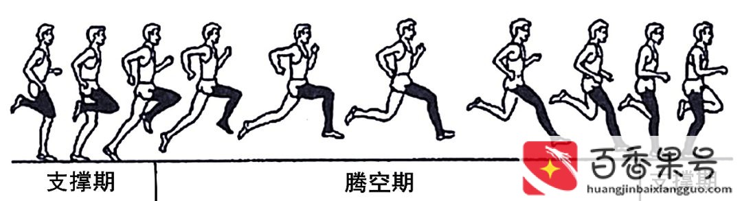 决定短跑跑速的主要因素是