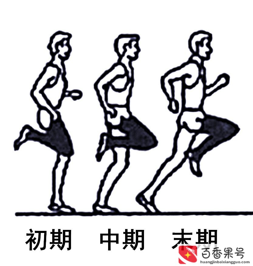 决定短跑跑速的主要因素是