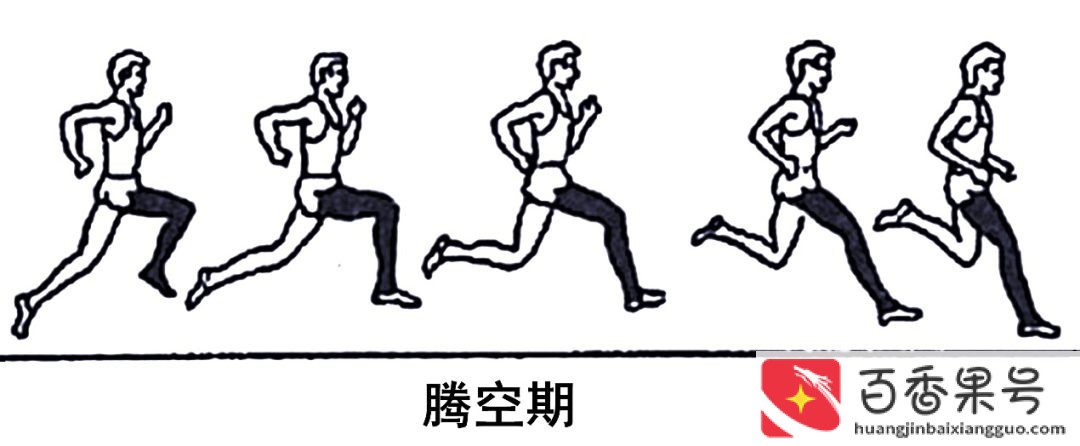 决定短跑跑速的主要因素是