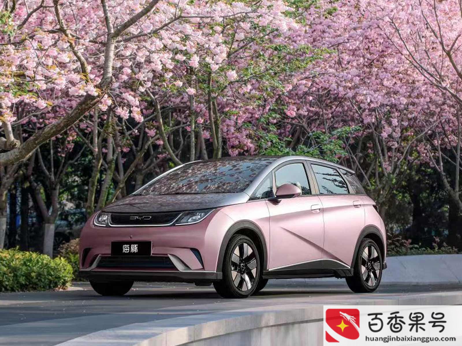 为什么飞度这么受欢迎