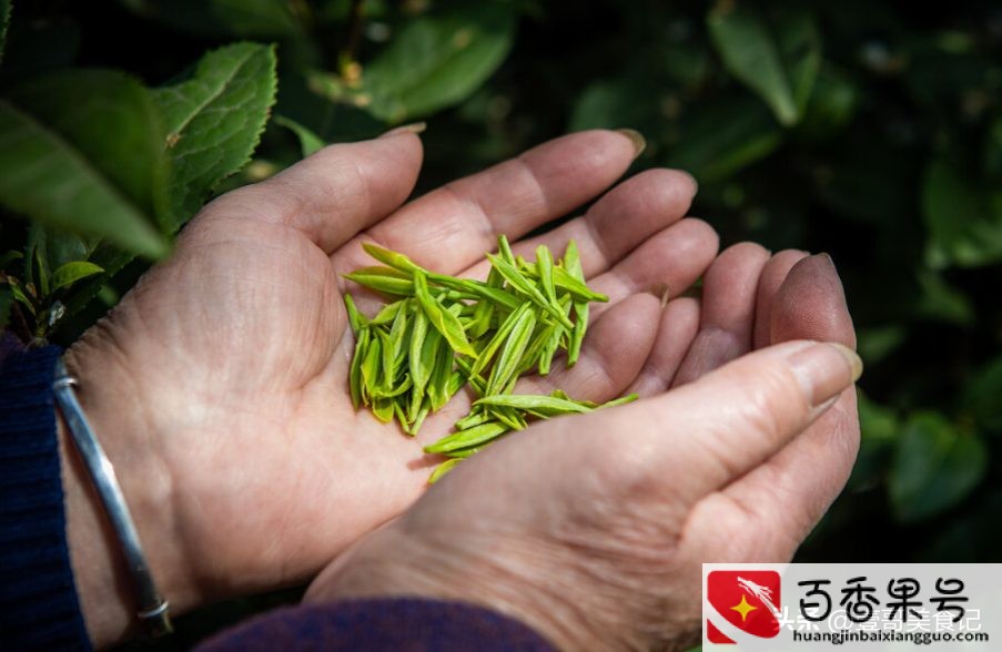 没拆封的茶叶能放几年