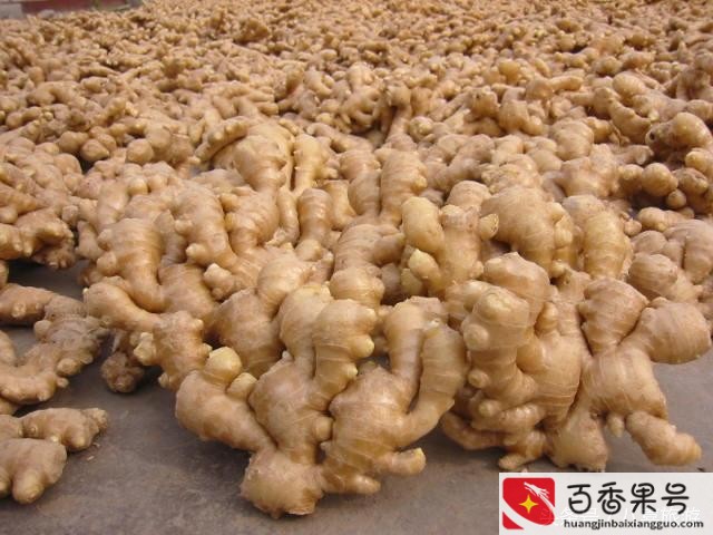 潍坊特产有哪些土特产