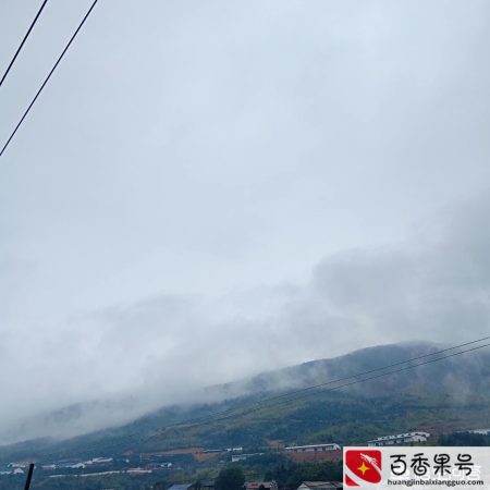 提升自己专业能力的五个方法