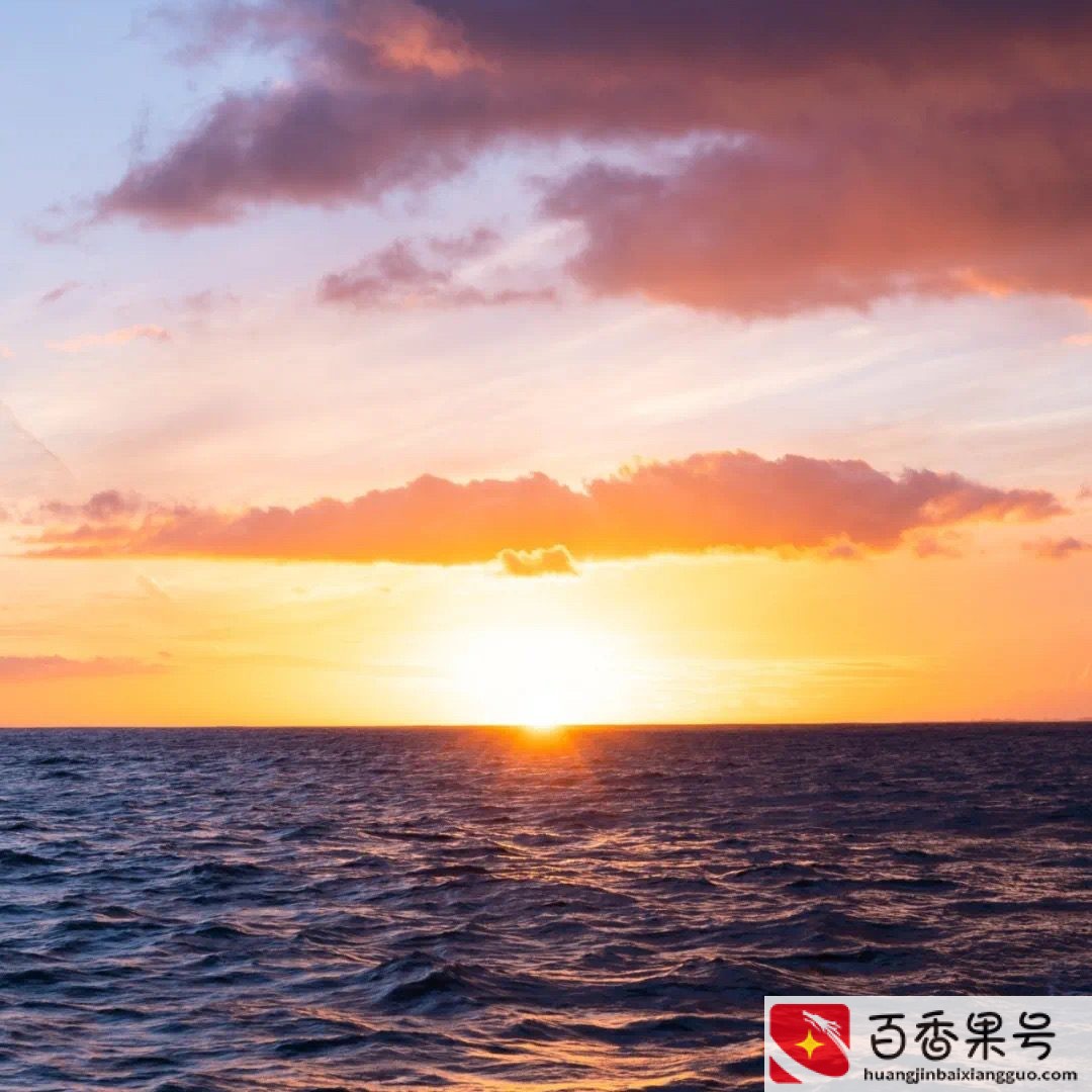 提升自己专业能力的五个方法