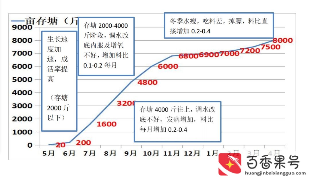 黄骨鱼养殖条件和成本