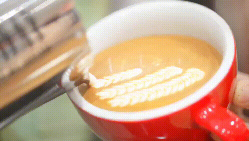 咖啡和巧克力的原材料一样吗