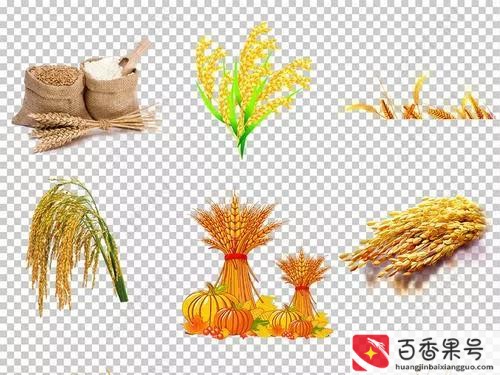 最早的农作物是什么