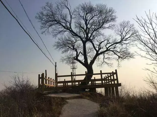 辟邪最厉害的东西