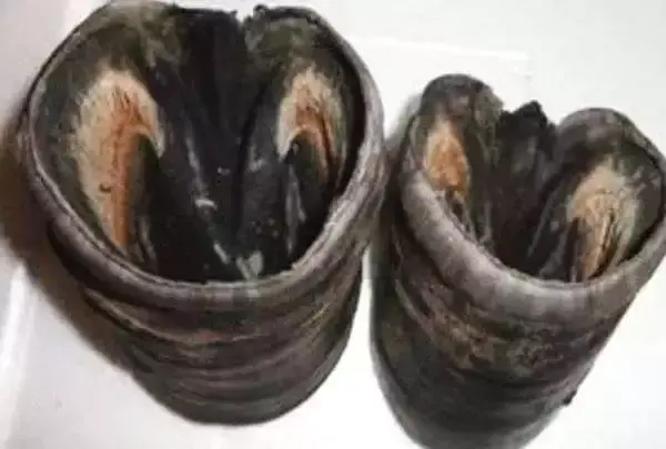 辟邪最厉害的东西