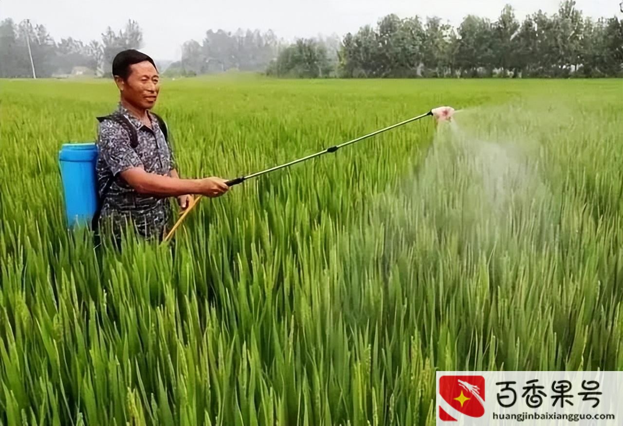 中国步入发达国家要多久