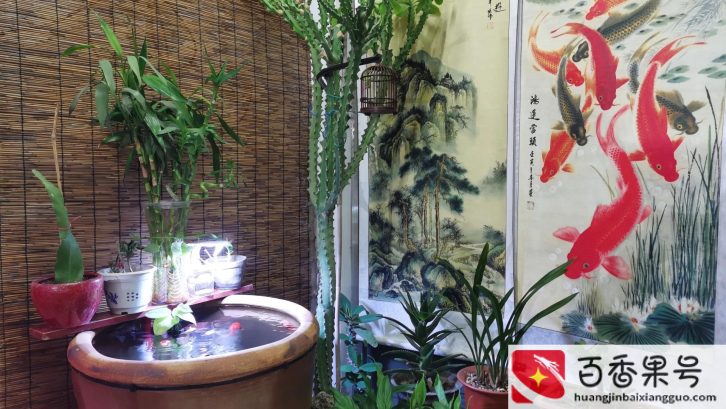 金鱼养几条比较吉利